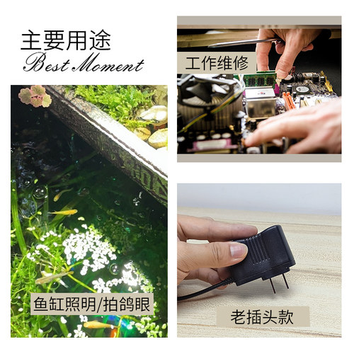 拍鸽眼灯LD小鱼缸超亮聚光夹灯夹子式工作台灯强光照射