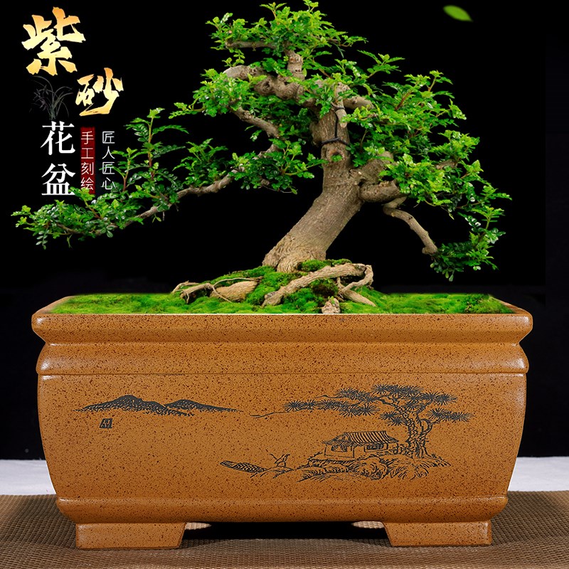 紫砂花盆长方形加深梅花老桩盆景盆特大号马槽海棠罗汉松榕树盆栽