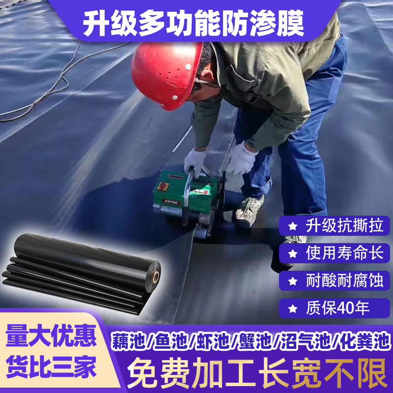鱼塘防渗膜复合土工膜加厚塑料膜地膜防漏水池塘防水布鱼池专用
