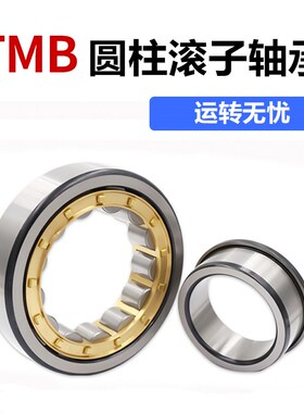 TMB天马圆柱滚子轴承NJ NU2313 2314 2315 2316 2317 2318 2319EM