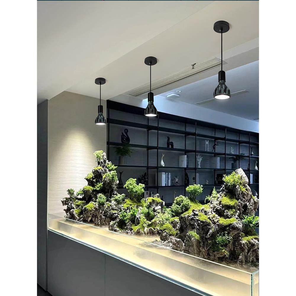 栖霞光年植物生长填充灯泡E27根龙舌兰全光谱彷日光绿色植物Led,3C数码配件,USB多功能数码宝,淘宝优惠券,粉丝福利购,淘宝优惠卷