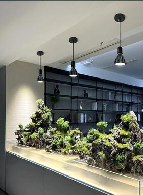 栖霞光年植物生长填充灯泡E27根龙舌兰全光谱彷日光绿色植物Led