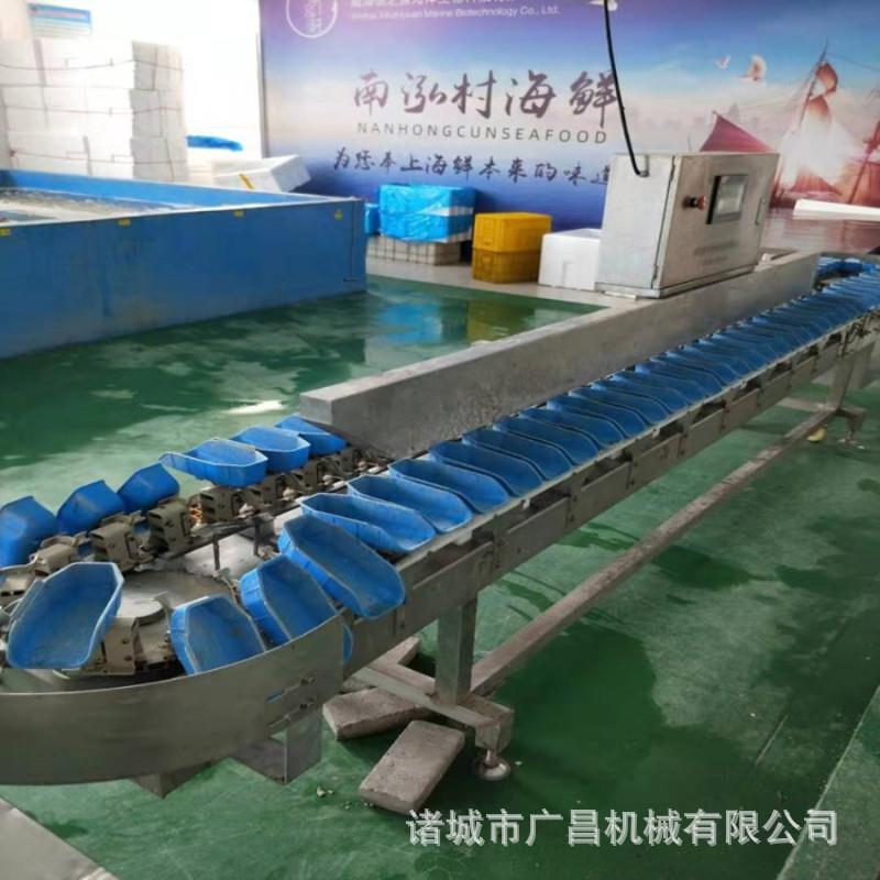 鸡爪子鸡翅转盘式多级自动分级机