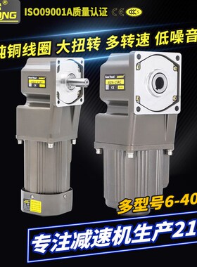 台松120W微型交流异步齿轮调速定速减速电机可逆控制马达减速机