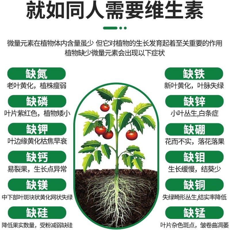 猛生根原液强力生根壮苗剂生根液植物通用扦插绿萝果树移栽促生根,鲜花速递/花卉仿真/绿植园艺,介质/营养土,淘宝优惠券,粉丝福利购,淘宝优惠卷