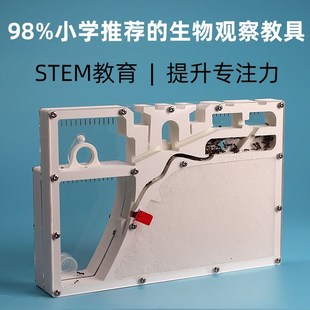 蚂蚁城堡工坊家园收获蚁后科学教具学生科学试验观察生态箱小宠物