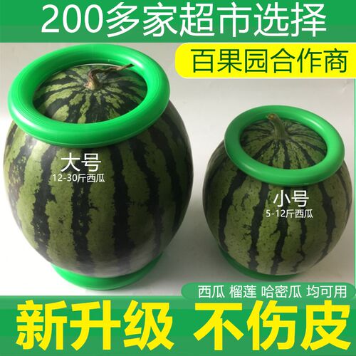 水果固定器放西瓜圈神器 西瓜防滑垫塑料圈 摆放展示底座投掷套圈