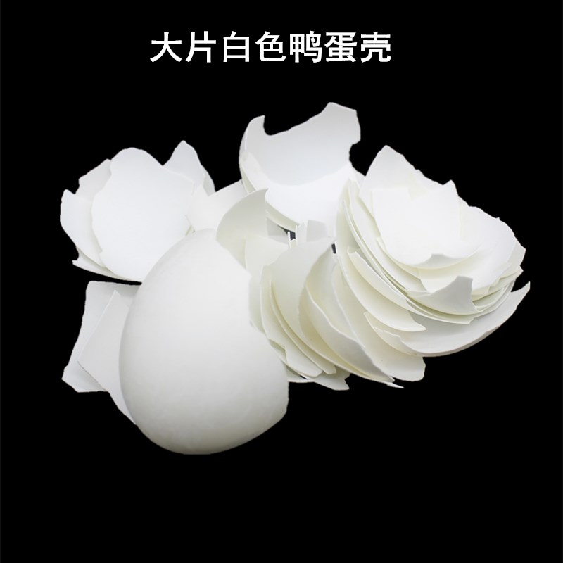 漆画材料大漆材料鸡蛋壳纯白大片鸭蛋壳 蛋壳粉 漆画镶嵌材料 50g