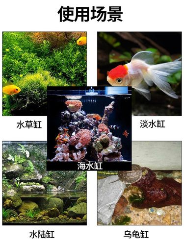 水草鱼缸刮藻刀小型无死角刷子清理清洁长柄清洗神器工具除刀片海