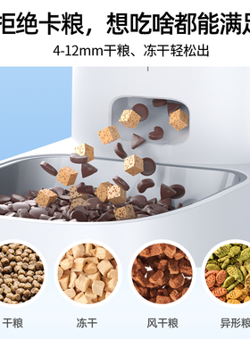 ROJECO罗杰克猫粮自动喂食器狗食自动投食机狗猫咪智能自动投喂器