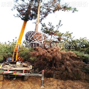 吨节三EHA轮随车臂吊 三轮吊车 改25马力三马背背车吊 2马力五征装