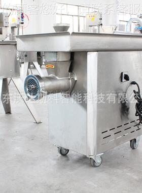 冻立式鲜肉肉两用绞肉机 商用肉香肠馅碎NVV肉 火腿肠肉糜绞机肉