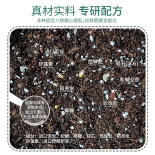 虹越花彩师种球根植物专用营养土百合朱顶红通用种球介质种植土壤