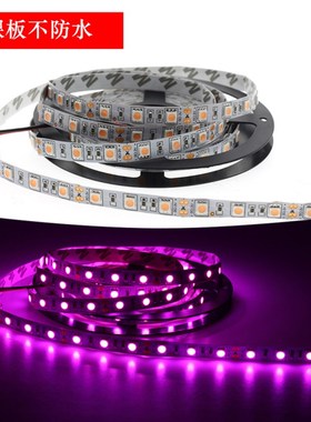 12Vled灯带5050滴胶防水粉色灯带 24V裸板不防水浪漫粉红色软灯条