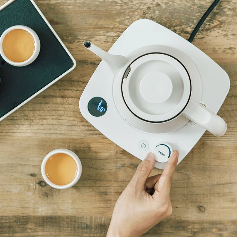 专用泡茶壶烧水壶旅行家用冲茶电热水壶保温长嘴细嘴手冲咖啡壶,厨房电器,电热水壶,淘宝优惠券,粉丝福利购,淘宝优惠卷