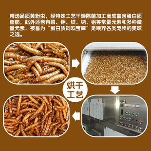 宠物联萌宠物零食面包虫干大桶仓鼠刺猬幼鼠粮食用品食物饲料主粮