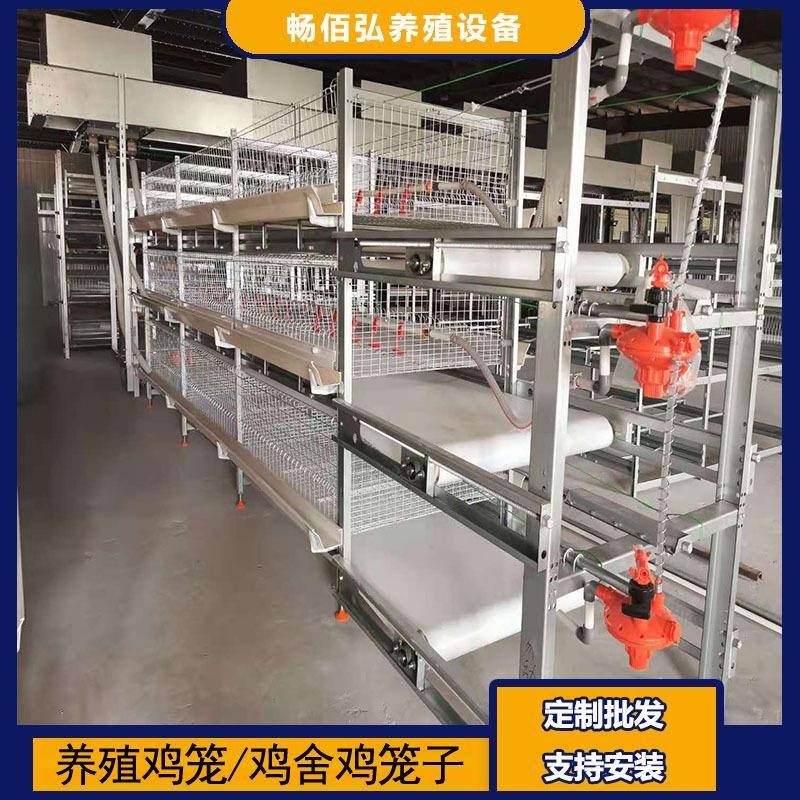 全自动肉鸡笼框架笼鸡舍养鸡场镀锌工艺自动除粪鸡笼可供外贸