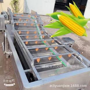 大型鼓泡清洗机玉米大姜果蔬深加工设备全自动不锈钢春笋清洗机