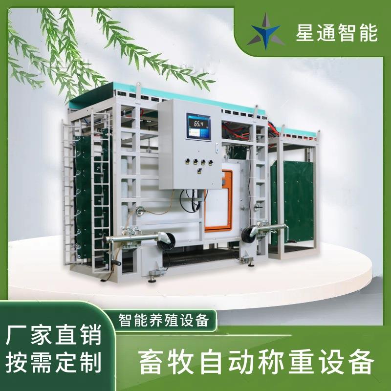 称重分群智慧牧场畜牧养殖管理设备分析料肉比调整饲喂精准无应激