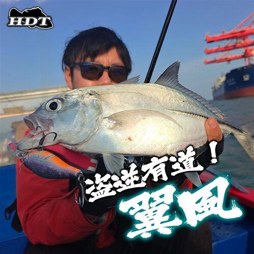 翼风路亚青物根钓假C饵远投米诺摇滚小胖子