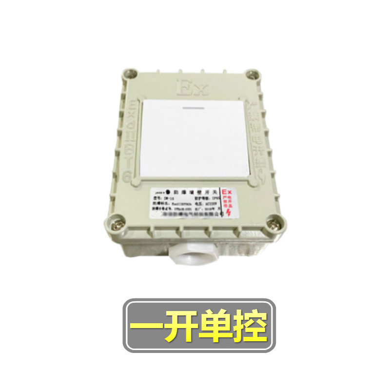隆誉 防爆开关220V10A墙壁插座明装按钮照明控制86型单联电源开关