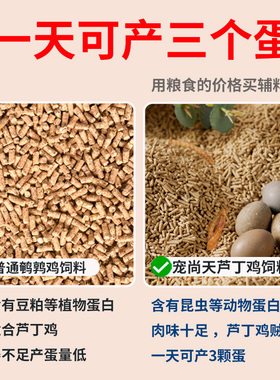 宠尚天芦丁鸡饲料开口料营养粮食产蛋幼鸡育雏沙维鹌鹑小鸡鸭粮食