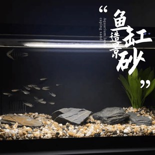 天然溪流石造景青龙石片岩石套餐鱼缸造景生态鱼缸底沙装饰水族用