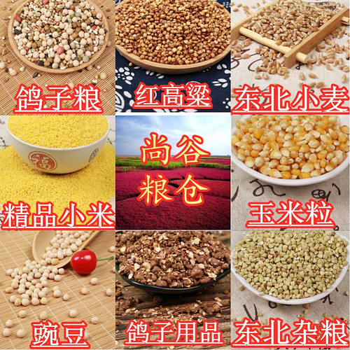 5斤装鸽子粮无玉米鸽粮食营养饲料鸟食信鸽观赏鸽肉鸽幼鸽成鸽粮