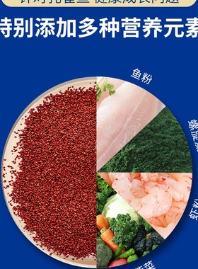 百因美贴片鱼食热带鱼斗鱼孔雀红绿灯科通用鱼粮观赏鱼小型鱼饲料