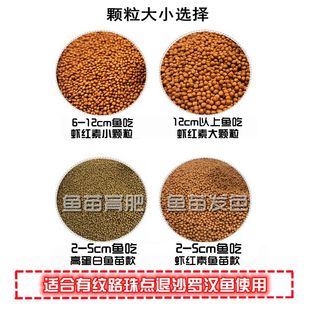 火凤凰罗汉鱼专用饲料泰国罗汉鱼爆头退沙高蛋白鱼食红德萨鱼粮