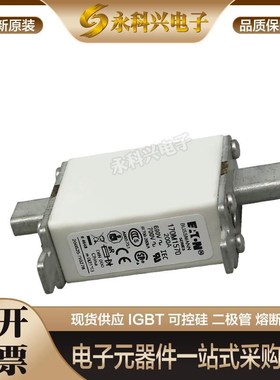 巴斯曼快速熔断器保险170M3267/3268/3269/3270/3271/3272/3273