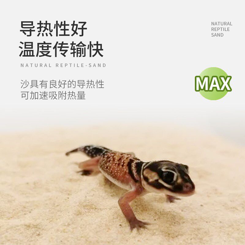 爬宠钙沙白玉蜗牛雨林蝎寄居蟹沙漠造景饲养箱垫材瘤尾守宫鬃狮沙,宠物/宠物食品及用品,爬宠垫料,淘宝优惠券,粉丝福利购,淘宝优惠卷