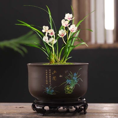 兰花专用花盆紫砂陶瓷带托盘复古粗陶透气家用创意盆景大多肉花盆
