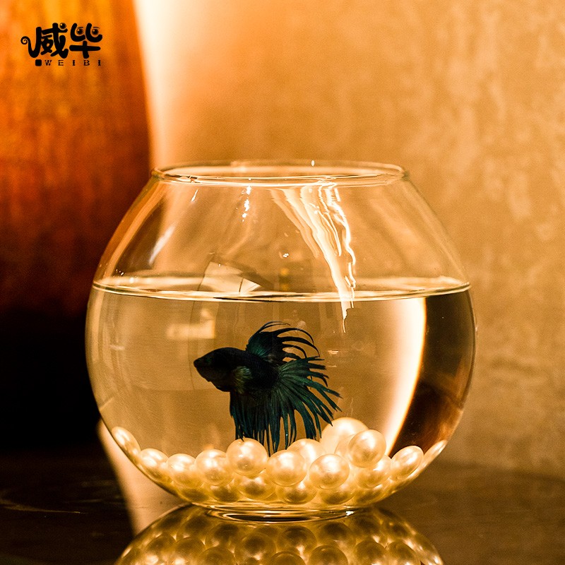 新款办公室桌面迷你圆形玻璃小鱼缸客厅小型裸缸景观造景斗鱼套装