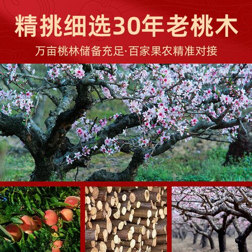 东南枝桃树枝摆件老桃木枝条棍搬家乔迁装饰卧室婴儿宝宝床头挂件