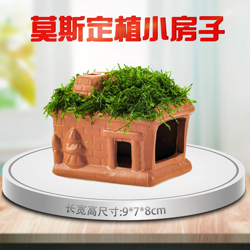 鱼虾躲避屋窝鱼缸造景水晶虾洞莫斯懒人水草植物水族小鱼孵化陶罐,宠物/宠物食品及用品,造景/装饰,淘宝优惠券,粉丝福利购,淘宝优惠卷