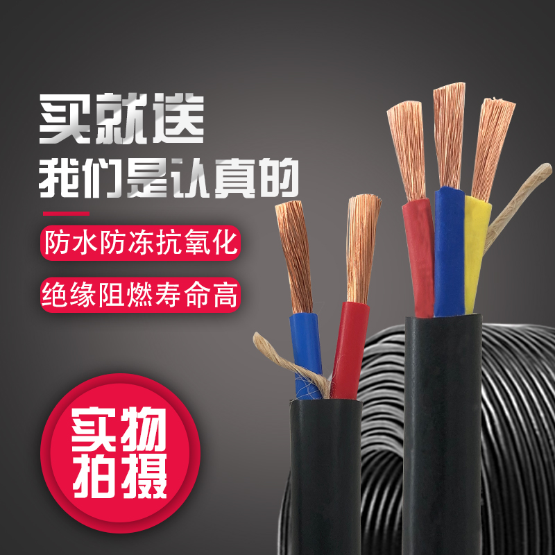 户外工程3芯软电缆线家用电线2.5 1.5 4平方护套线插头电源线延长