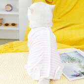 猫咪产后衣服春夏季 手术服防舔断奶服四腿居家服条纹猫咪绝育服