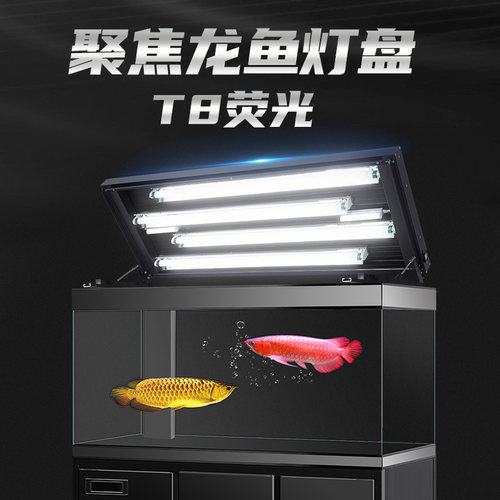 戏鱼碟翼鱼缸灯盘龙鱼专用大型烤色灯架全光谱诱色翻盖鱼缸灯定制