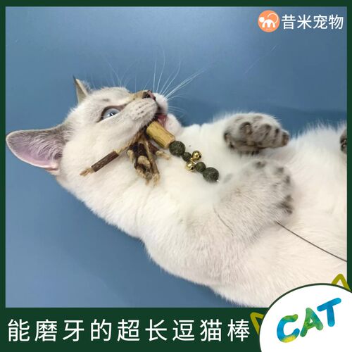 猫咪逗猫棒耐咬羽毛幼猫带铃铛钢丝长杆替换头木天蓼磨牙2021新款
