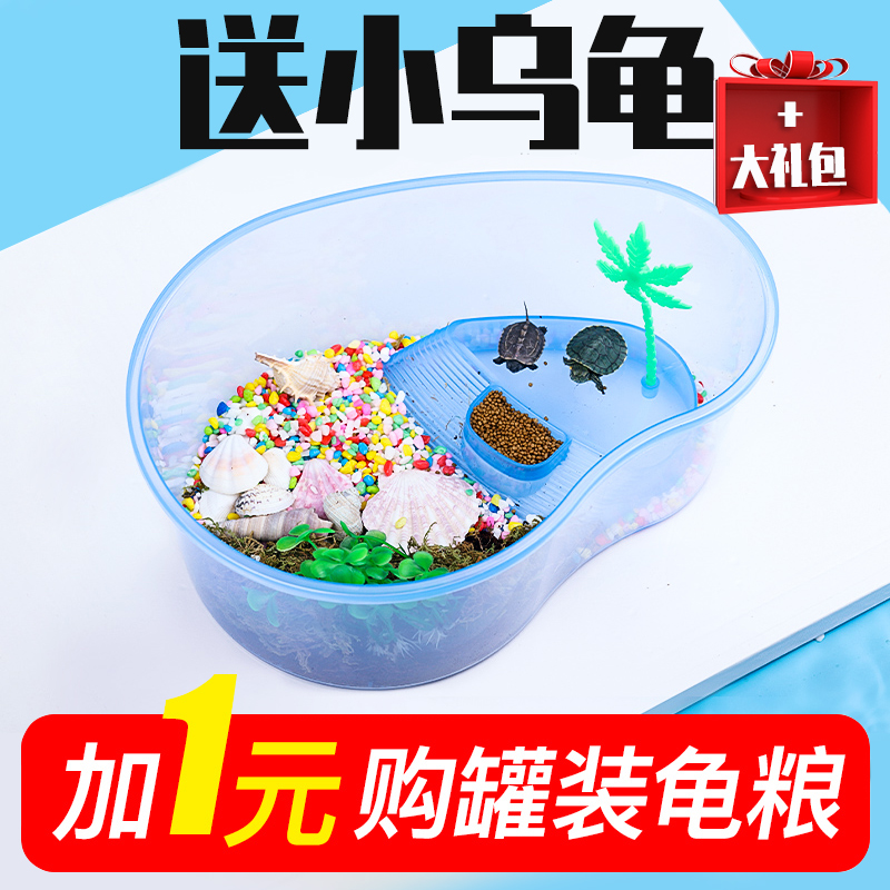 乌龟缸发色盒带晒台饲养缸专用冬眠缸养龟箱屋别墅客厅小家用房子