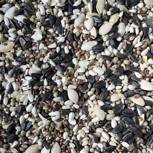 混合油料鹦鹉鸟食饲料混合大中小型鹦鹉鸟粮零食瓜子麻子红花籽