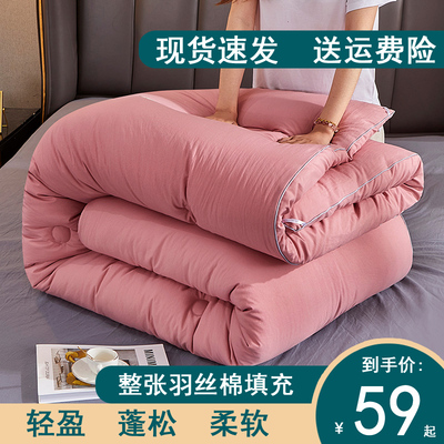 冬被加厚保暖单双人宿舍夏凉丝棉被芯春秋被子四季通用太空调被芯