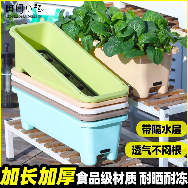 阳台种菜专用盆家庭蔬菜种植箱楼顶长方形塑料花盆家用菜盆草莓盆,鲜花速递/花卉仿真/绿植园艺,花盆,淘宝优惠券,粉丝福利购,淘宝优惠卷