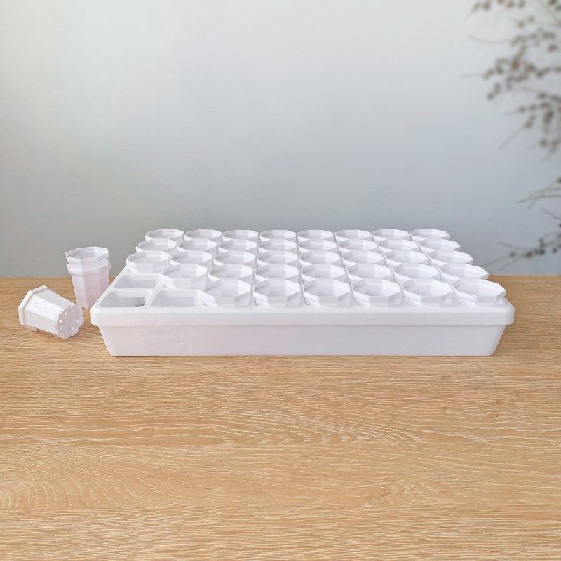 白色托架多肉迷你八角盆组合塑料加厚家用接水盘花盆浸盆浇水育苗,鲜花速递/花卉仿真/绿植园艺,花盆,淘宝优惠券,粉丝福利购,淘宝优惠卷