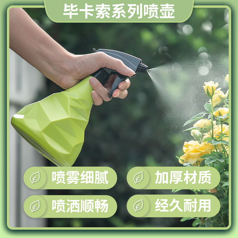 浇花小喷壶家用喷水壶小号室内喷雾瓶小型浇水喷壶淋花园艺洒水壶