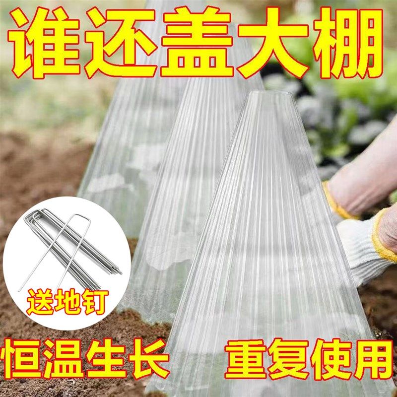 育苗保护罩透明钟罩可重复使用温室大棚免受鸟类霜冻伤害加厚保护,鲜花速递/花卉仿真/绿植园艺,其它园艺用品,淘宝优惠券,粉丝福利购,淘宝优惠卷