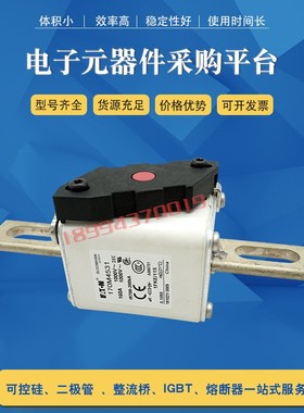 快速保险a丝熔断器170M4531 170M4532 170M4533 170M4534全新