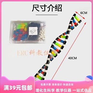 DNA螺旋结构模型双分子拼接可插接高中生物教师用学生分组一套装