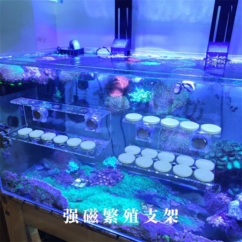 双层强磁珊瑚繁殖支架亚克力架托盘托架繁殖悬浮磁吸造景底座基座图片